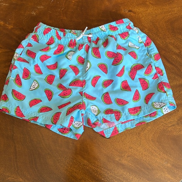 98 Coast Av blue watermelon print Swim trunk bathing suit  size small - Picture 1 of 6